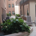 Marriott Court Yard Roof Garden