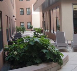 Marriott Roof Garden